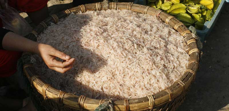 con ruốc tươi - đặc sản Kim Biển