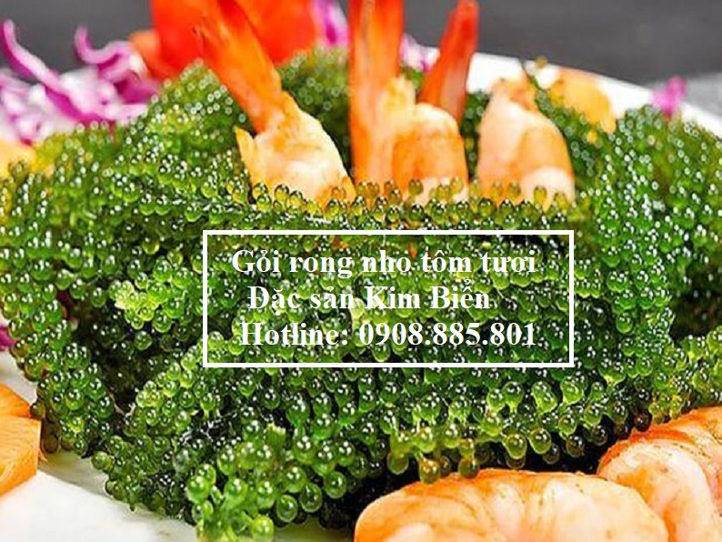 gỏi rong nho tôm tươi ngon, bổ dưỡng - đặc sản Kim Biển