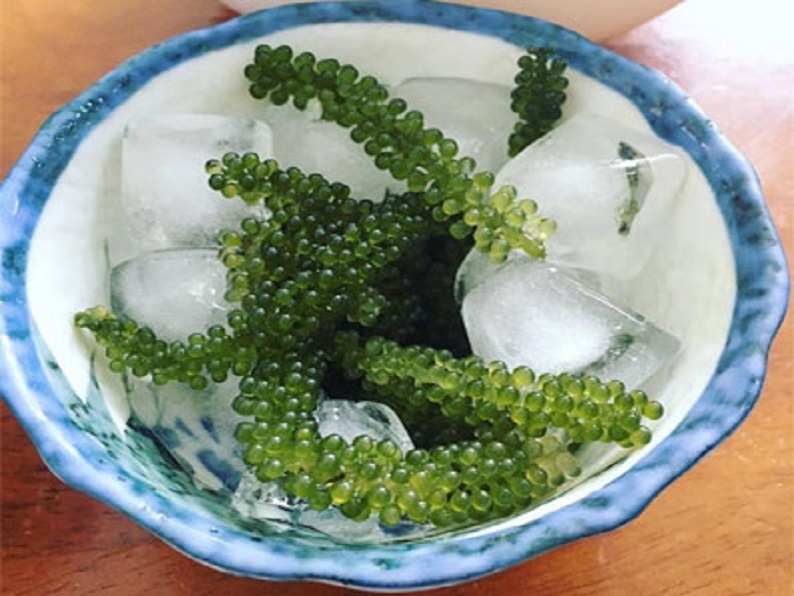 cách chế biến rong nho biển ngon hơn