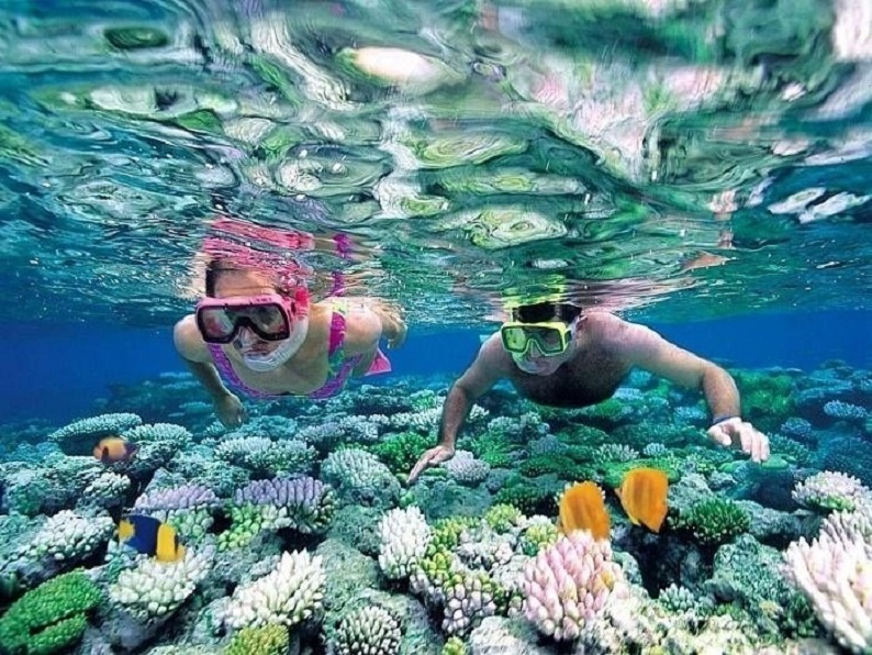 lặn san hô hòn Mun Nha Trang - đặc sản Kim Biển